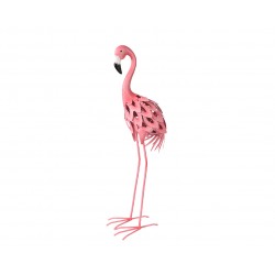 Flamand Rose Rose En Fer...