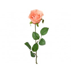 Tige De Rose Pêche En...