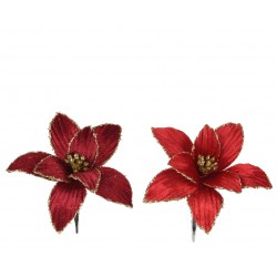 Poinsettia Sur Clip...