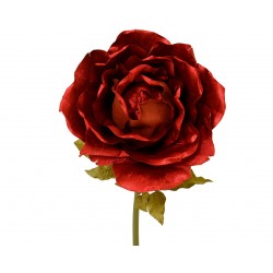 Tige De Rose Rouge En...