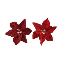 Poinsettia Sur Clip Rouge...