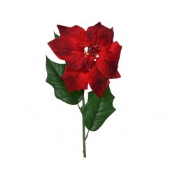 Tige De Poinsettia Rouge En...