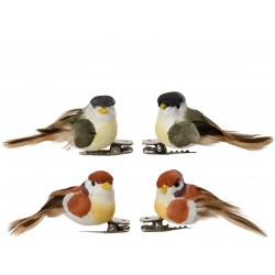 Oiseau Sur Clip Brun En...