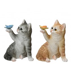Chat Papillon Sur Pate En...