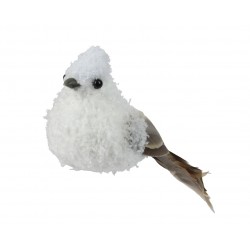 Oiseau Sur Clip Blanc En...