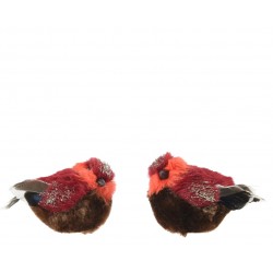 Oiseau Sur Clip Rouge En...