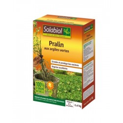 Pralin argile verte uab 2.4kg