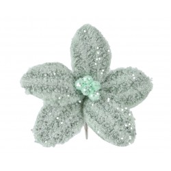 Poinsettia Vert Sauge En...