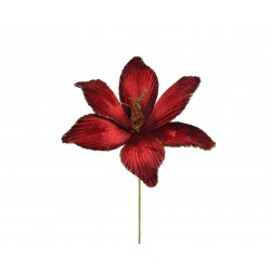 Tige De Poinsettia Rouge En...