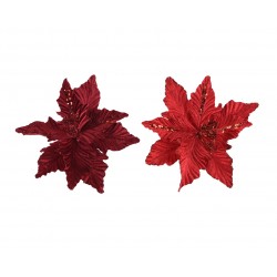 Poinsettia Sur Clip...