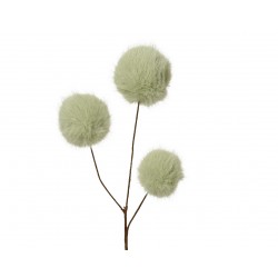 Tige De Pompon Vert Sauge...