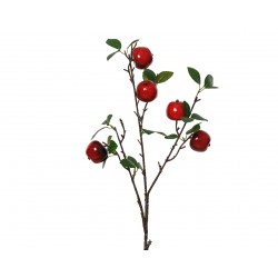 Tige De Pomme Rouge En...