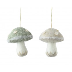 Champignon Duveteux À...
