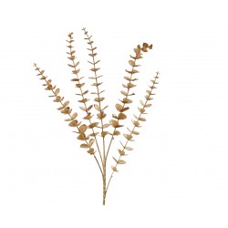 Tige D'Eucalyptus Or En...