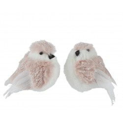 Oiseau Fourrure Rose En...