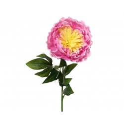 Tige De Pivoine Rose En...