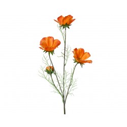 Tige De Coreopsis Orange En...