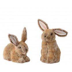 Lapin Fourrure Brun...
