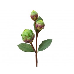 Tige D'Artichaud X3...