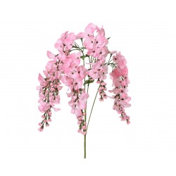 Tige De Glycine Rose Doux...