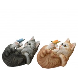 Chat Couché Papillon Sur...