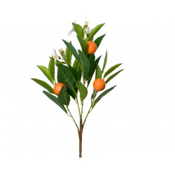 Tige D'Oranger Orange En...