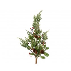 Tige De Sapin + Baie Vert...