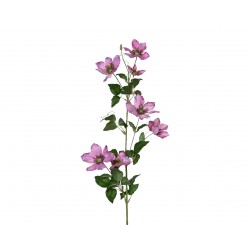 Tige De Clématite Rose En...