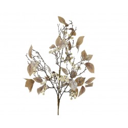 Tige De Baie/Feuille...