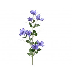 Tige De Clématite Violet En...