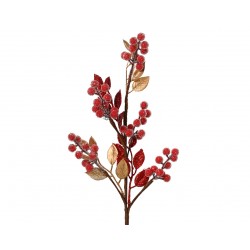 Tige De Baie Givrée Rouge...