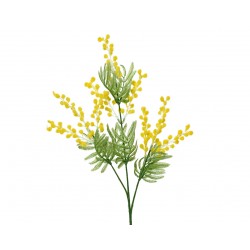 Tige De Mimosa Jaune En...