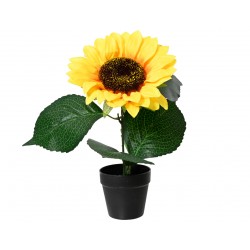 Tournesol En Pot Jaune En...