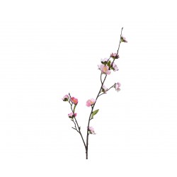 Tige De Cerisier Rose En...