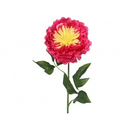 Tige De Pivoine Fuchsia En...