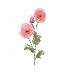 Tige De Coquelicot Rose En...