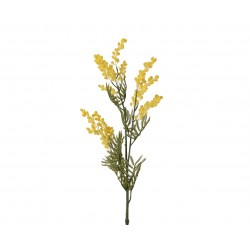 Tige De Mimosa Jaune En...