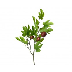 Tige De Fuigier Violet...