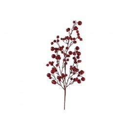 Tige De Baies Rouge En...