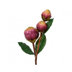 Tige D'Artichaud X3 Violet...