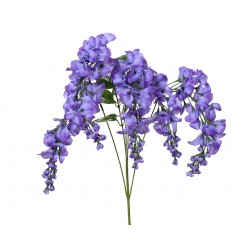 Tige De Glycine Violet En...