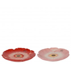 Assiette A Petit Coquelicot...