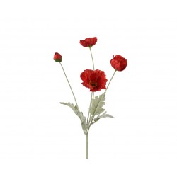 Tige De Coquelicot Rouge En...
