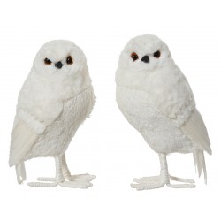 Chouette Sur Patte Blanc En...