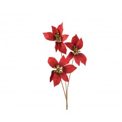 Tige De Poinsettia Rouge En...