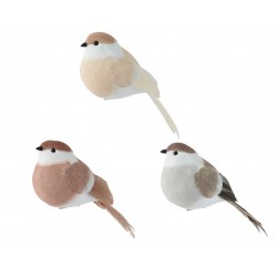 Oiseau Sur Clip Naturel En...
