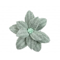 Poinsettia Vert Sauge En...