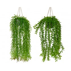 Suspension De Saule En Pot...