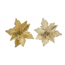 Poinsettia Sur Clip...
