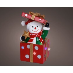 Bonhomme De Neige Dans...
